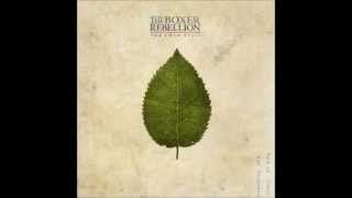 The Boxer Rebellion - If You Run (Acoustic)