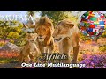 Mufasa The Lion King Milele One Line Multilanguage 34 Versions