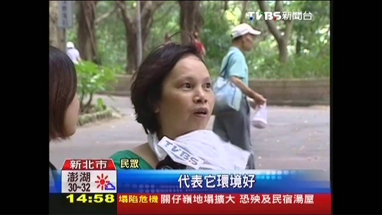 新美食景點! 捷運丹鳳、迴龍29日通車