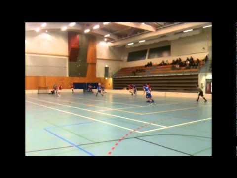 Salibandy: LeBa'96 - Säyneisen Salpa 03.03.2011