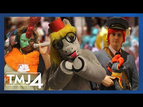 What Are Bronies? Inside a My Little Pony Convention