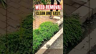 Manual Weed Removal Tool for Pavement Cleaning Innovation