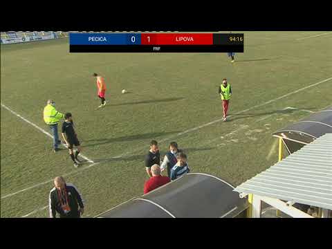 ACS PROGRESUL PECICA - SOIMII LIPOVA