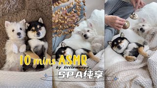 Download lagu 【10-Minute Pure ASMR 3.0】Manyu & Bai | Immersive SPA | Sleep Aid & Stress Relief mp3 Download lagu 【10-Minute Pure ASMR 3.0】Manyu & Bai | Immersive SPA | Sleep Aid & Stress Relief mp3