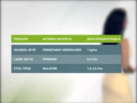 EsrZelenaprog020715s3m