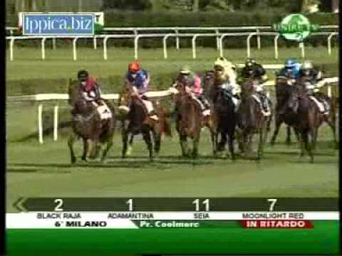 Premio Coolmore 2010 (LISTED RACE)