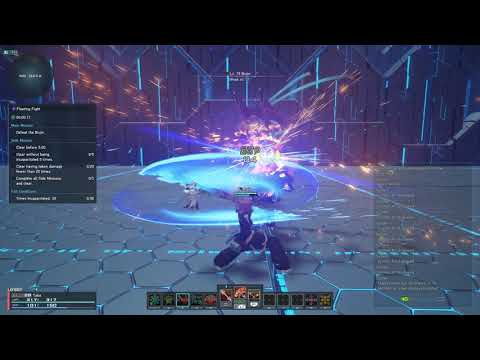 [PSO2:NGS] Fleeting Fight Bujin vs Fi/Gu Double Saber (0:36 x No Damage)