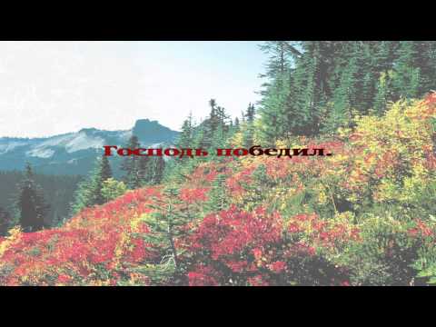 133 Есть много дорог