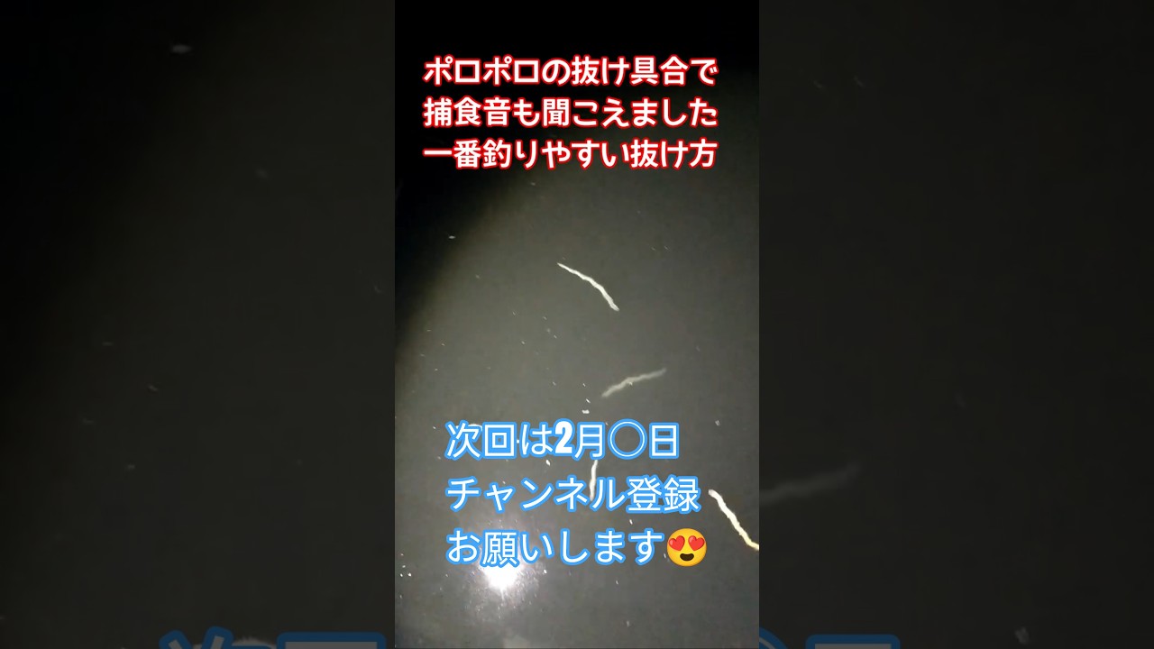 千葉県市原近辺バチ抜け！次回は2月〇日予想　 #バチ抜け #シーバス #バチパターン