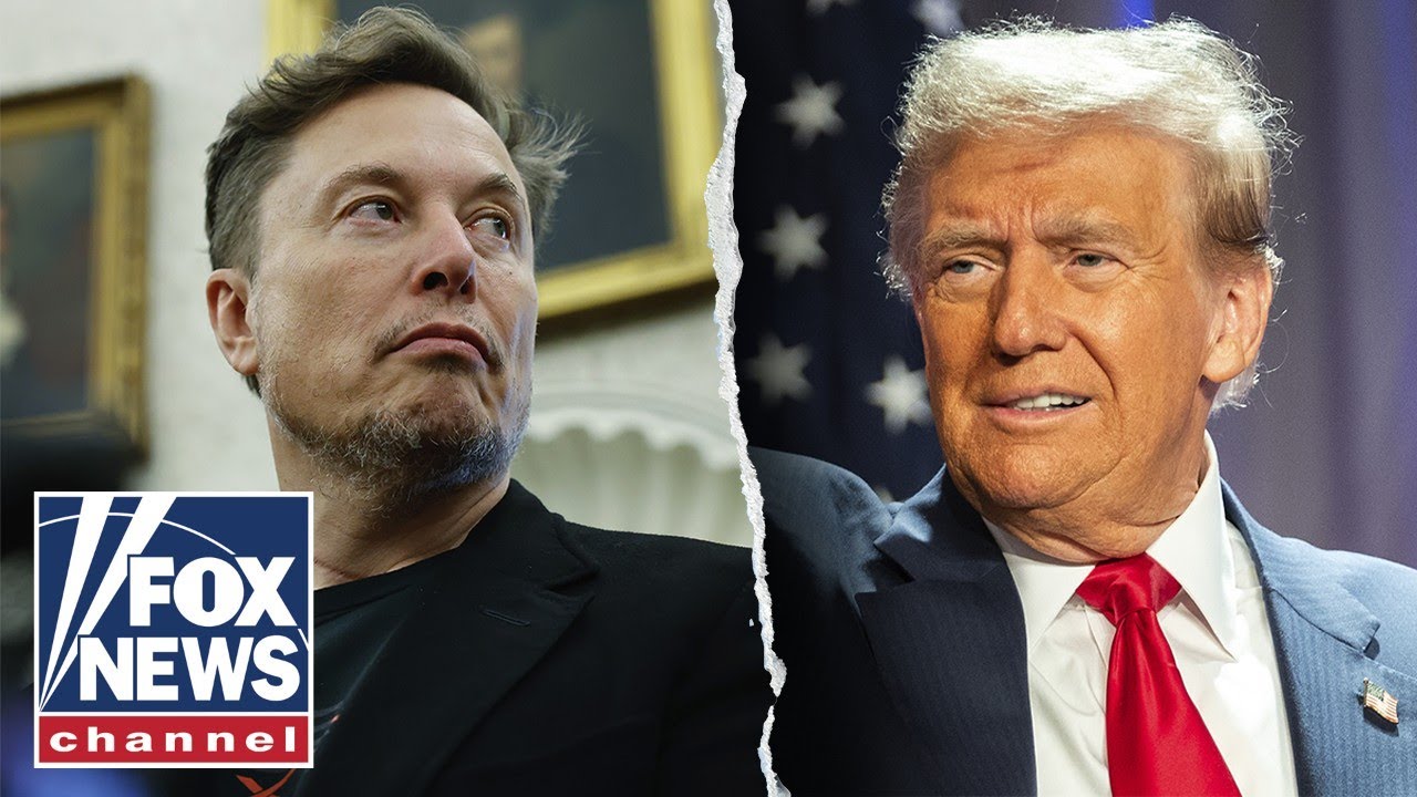 Elon Musk leaves DOGE ‘frustrated'