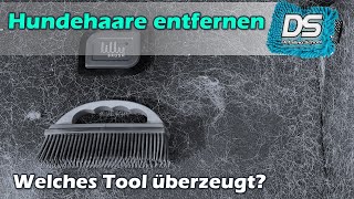 Hundehaare entfernen - Lilly Brush vs. SONAX / Chemical Workz Tierhaarbürste im Vergleich