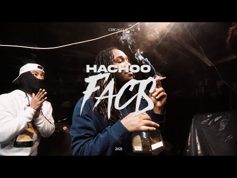 Hachoo - "Facts"