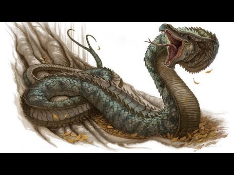 The Basilisk and the Cockatrice - What is the difference?