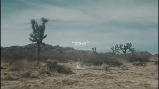 Stray Grace Vanderwaal - vietsub + lyrics