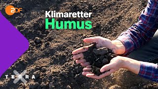 Wie wir mit Humus den Klimawandel beeinflussen können | Terra X plus