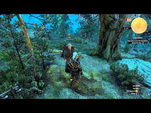 The Witcher 3 Wild Hunt (PC) Cheathrough - Pt. 120