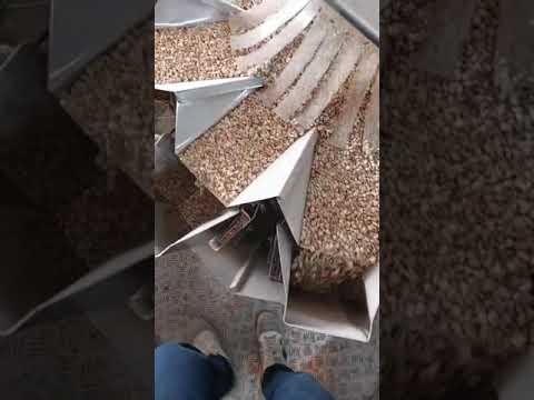 Baopack - P2407052771