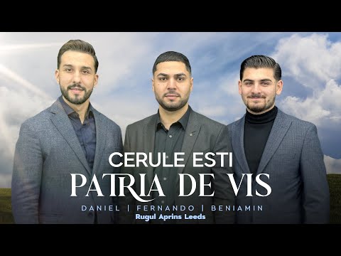 Daniel Paun & Fratii din Leeds -CERULE ESTI PATRIA DE VIS [ Beniamin,Fernando] (Official Video) 2024