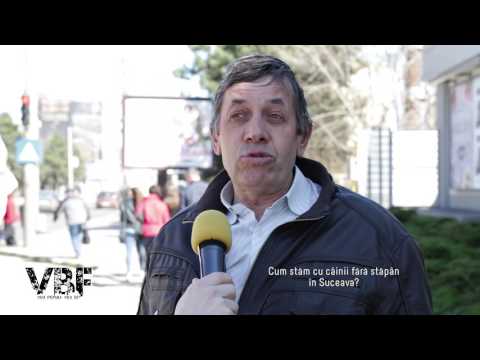 Animalele de companie - VBF