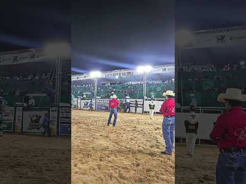 Juliano REYS senador Canedo 2026 #rodeio #pecuarista #brutododia #cowboys #sertanejo #rodeo #fazenda