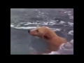 Muddai Lakh Chahe To Kya Hota H Wahi Hota H Jo Manzure Khuda Hota H