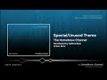The Homebrew Channel Wii Special Unused Theme