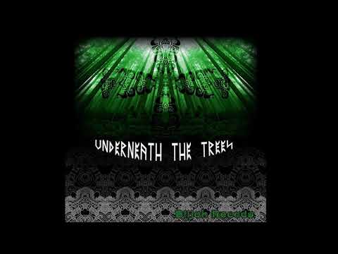 Metaphyz - Nuts Madness (Out on Biijah Records)