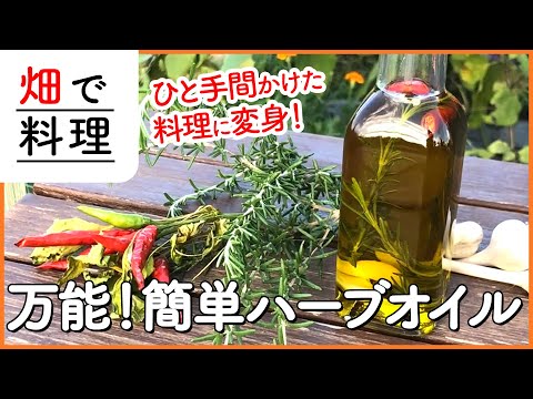 マリーゴールドオイルを自分で作る:これが仕組みです 植物