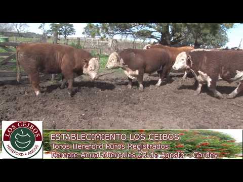 Día de campo "Los Ceibos" - Remate Anual Miércoles 23 de Agosto - Gardey