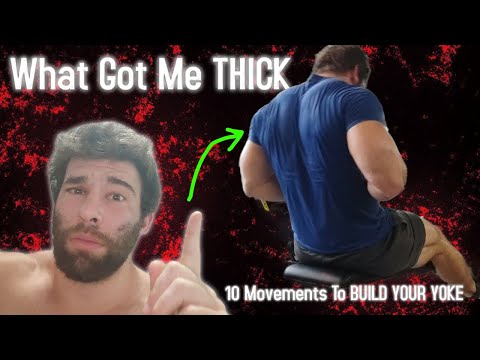 How To Build a THICKER Upper Back (What I did)