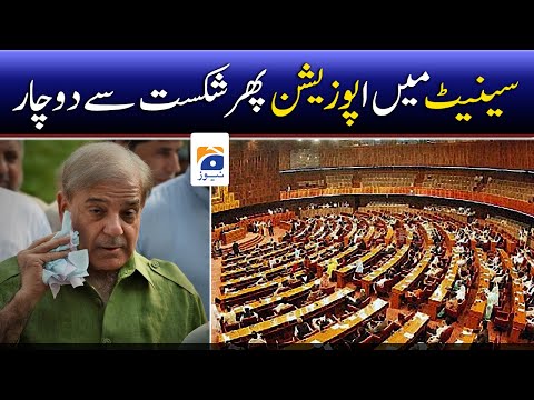 Protection of journalists bill, several others pushed through Senate despite Opposition outcry