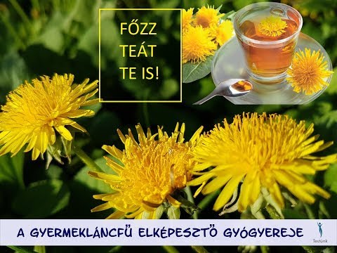diolevel tea féreghajto)