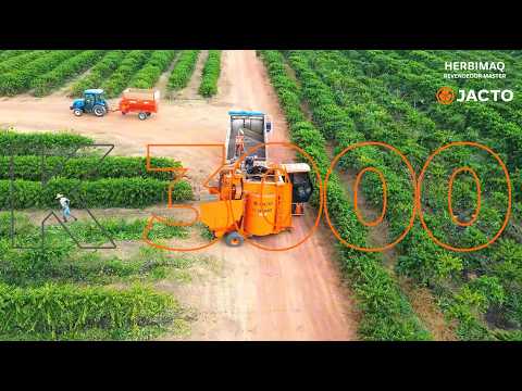 Colhedora de café Jacto K 3000 | Experiência do produtor em Cujubim (RO)