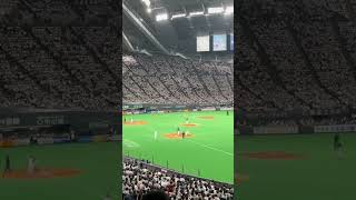 【ファイターズクラシック】木元邦之 応援歌（アルカンタラ）