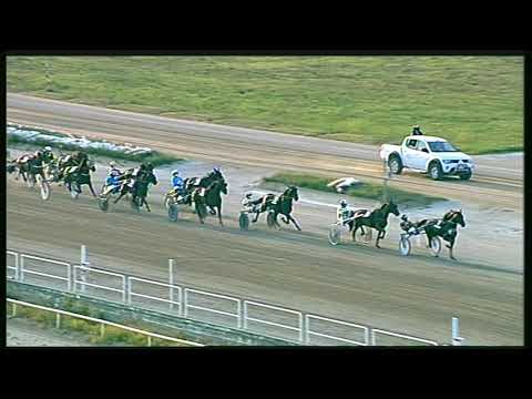 Trotto 13/09/2020 - 8ª corsa