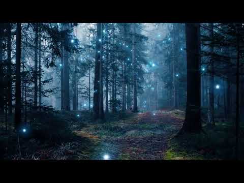 Gumiho Fox Spirit REVEALED Mystical Legends of Korea