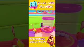 【Fallguys】チームしっぽ鬼 攻略～安全地帯？パイプ乗り～【フォールガイズ】