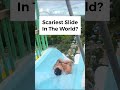 Scariest Slide In The World At Disney S Blizzard Beach Water Park