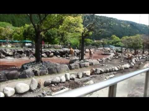 動物園に行ったワン！