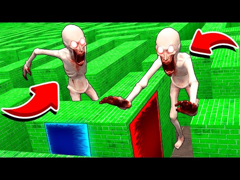 ВЫБЕРИ ПРАВИЛЬНЫЙ ПОРТАЛ ЧТО БЫ УБЕЖАТЬ ОТ SCP 096 (Feat.) HellDoor Quantum
