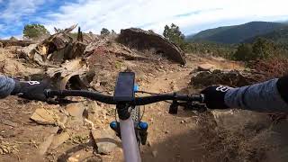 Mustang - White Ranch Park - Golden - Colorado