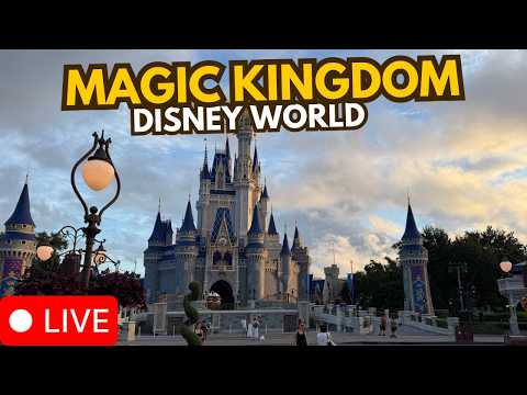 Live webcam of Disney Parks with Love