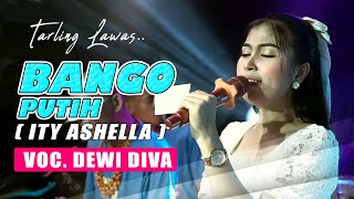 Download lagu LAGU LAWAS!! BANGO PUTIH - DEWI DIVA -  KAJJOLE PANTURA ' DEWI DIVA GROUP ' MANGGUNG ONLINE mp3