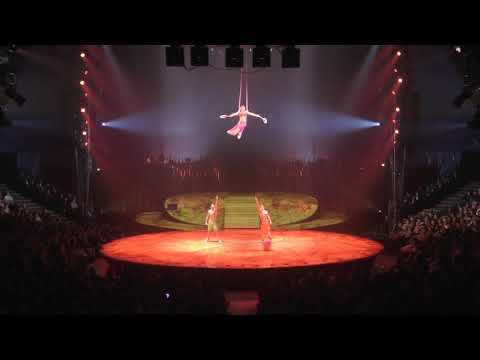 Maciej Labutin   aerial rings Cirque du Soleil TOTEM