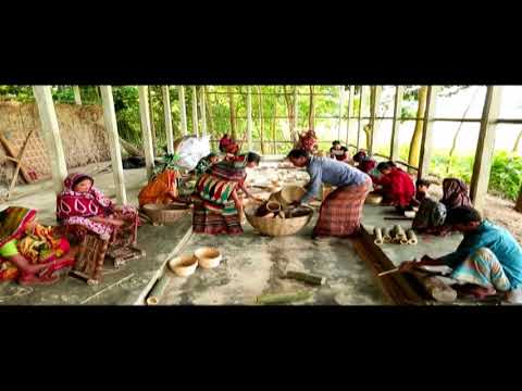 ডকুমেন্টরী