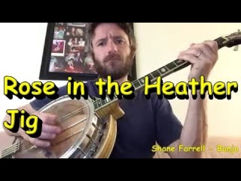 The Rose in the Heather Jig - Shane Farrell Banjo
