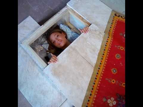 Who do you think hides the best? #hidenseek #funny #challenge