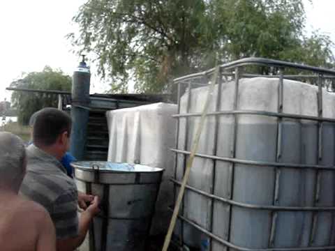 Populare Balta Spineni