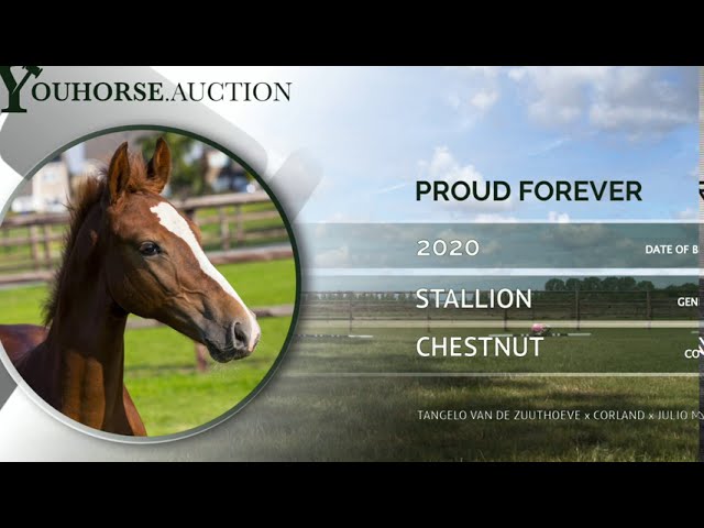 Proud Forever