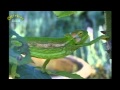 Teletubbies 1997 Chameleons Clip